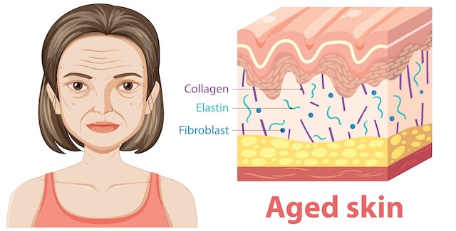 Why Are Anti-Ageing Treatments Necessary?